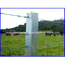 2.04kg/M Heavy Duty Hot DIP Galvanized Star Picket for Fencing